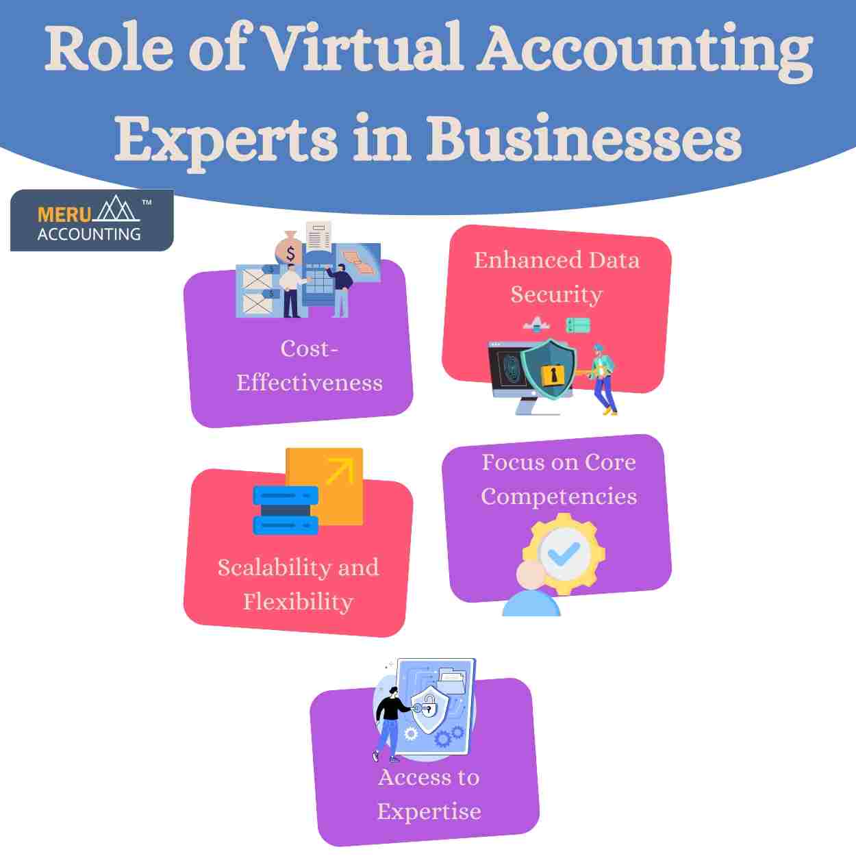 Virtual Accounting Experts