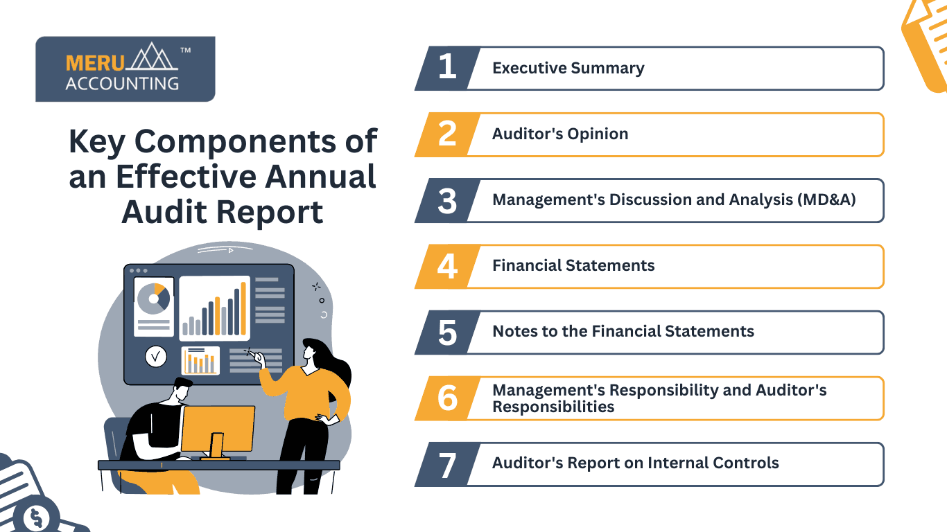 annual audit report