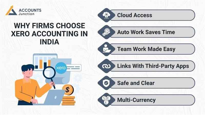 Which accountants and bookkeepers in India use Xero?