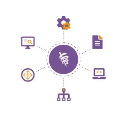 Medical Coding (ICD, CPT)