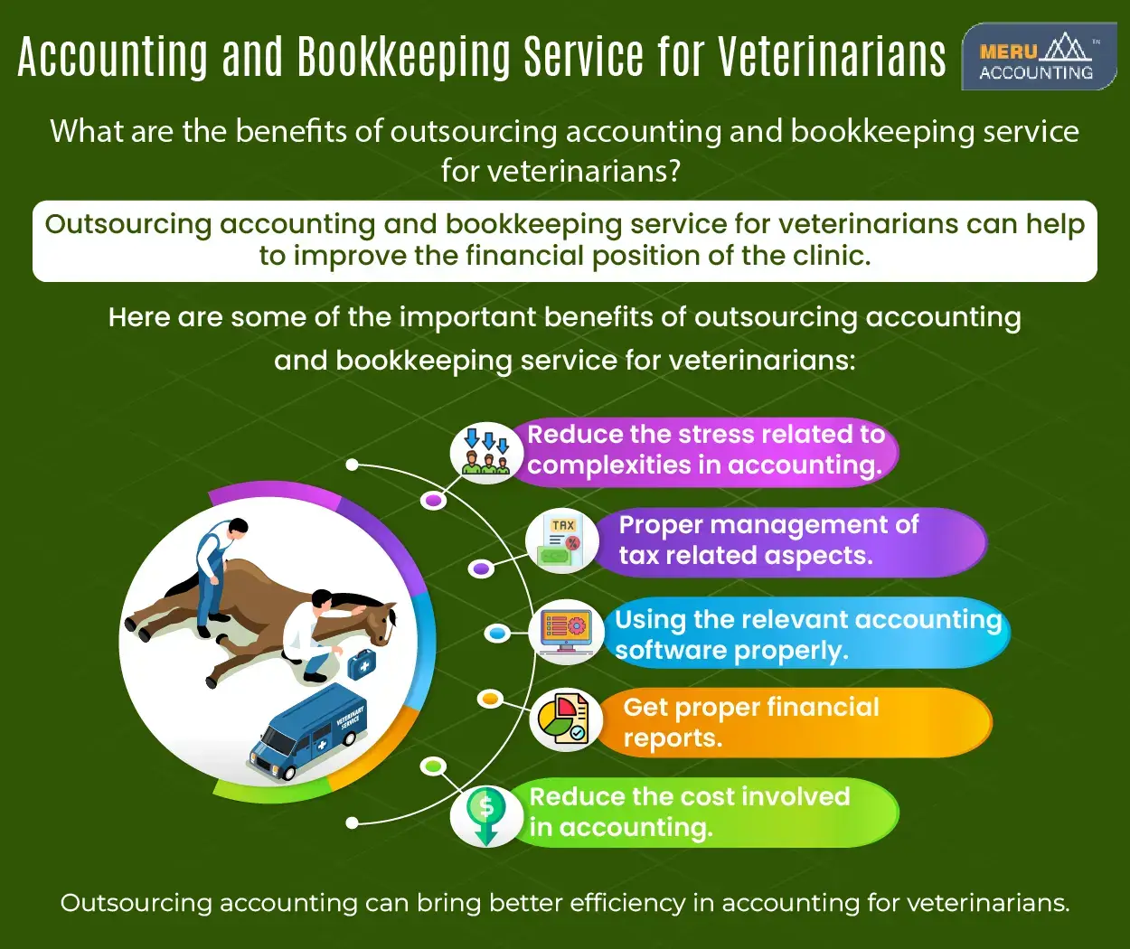Accounting for Veterinarians