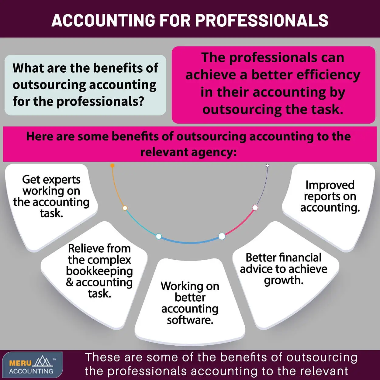 Accounting for Professionals