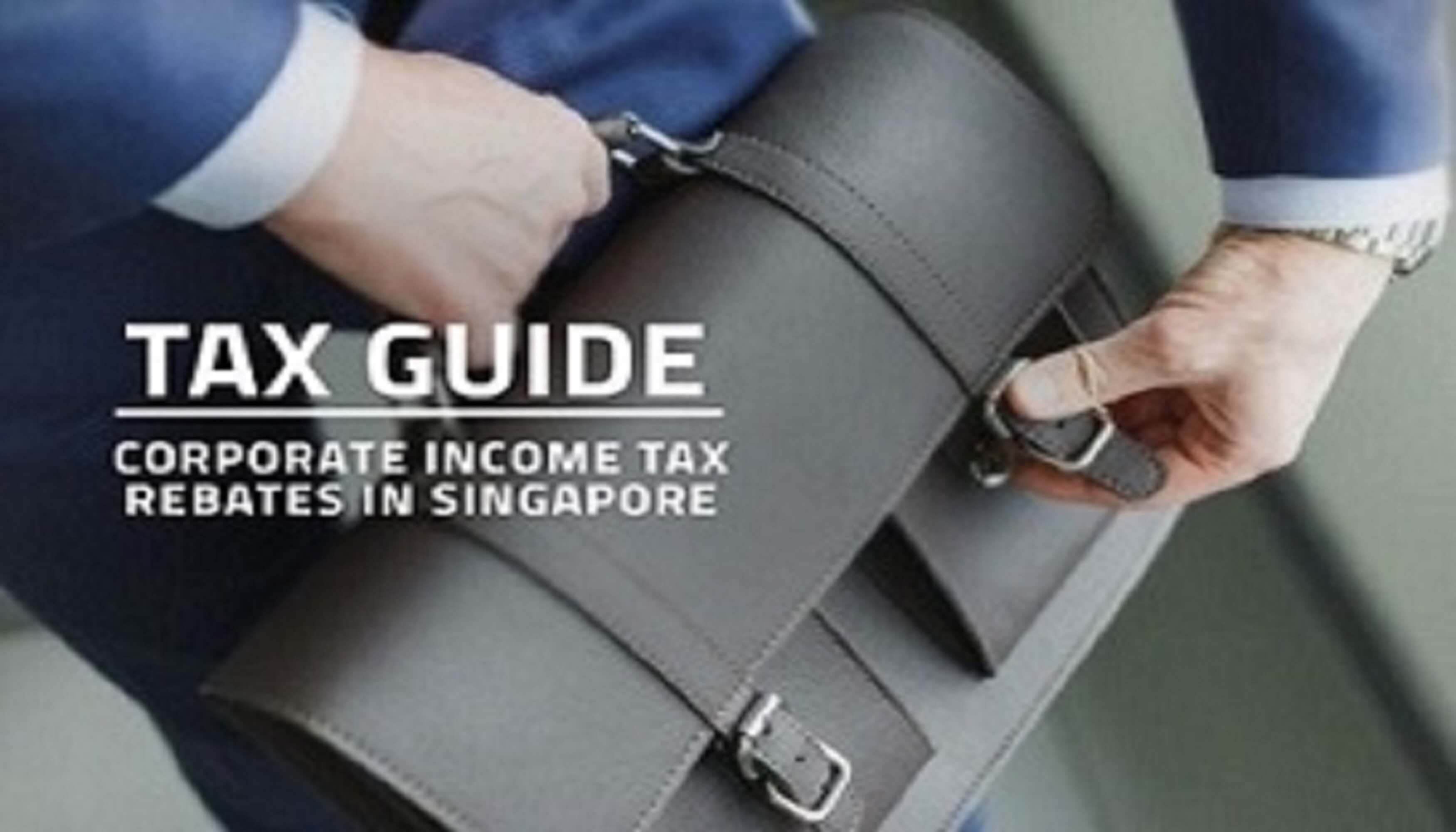 How to file tax in Singapore, Singapore Personal Tax